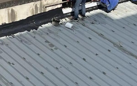 上海承接厂房工程防水那家好